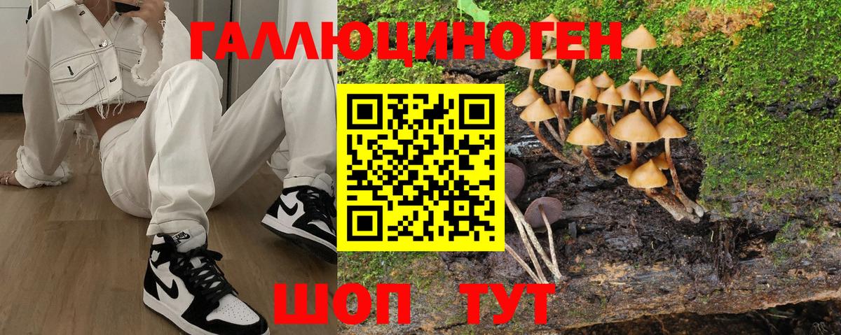 Галлюциногенные грибы мицелий Спасск-Дальний